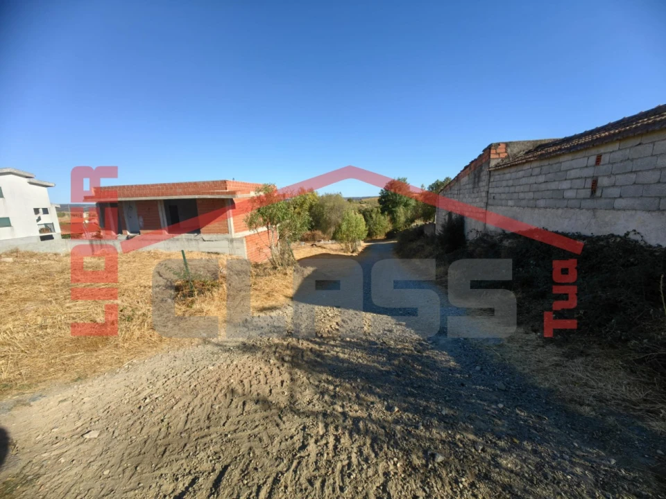 Terreno para Venda em Algoso, Campo de Víboras e Uva Foto 4
