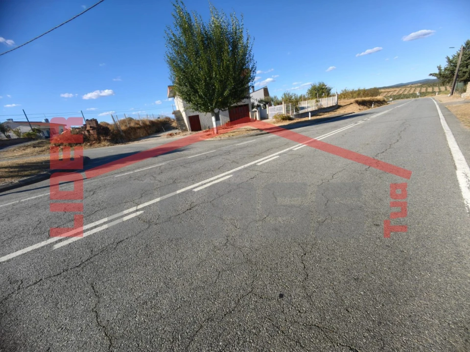 Terreno para Venda em Algoso, Campo de Víboras e Uva Foto 13