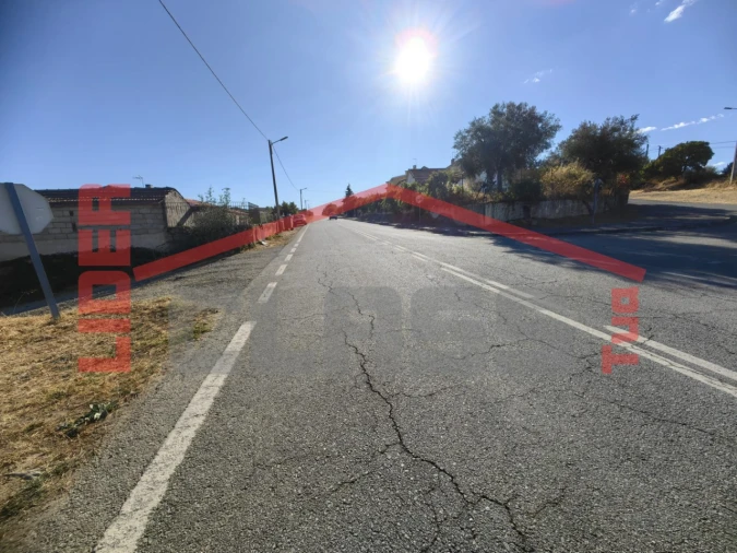 Terreno para Venda em Algoso, Campo de Víboras e Uva Foto 12