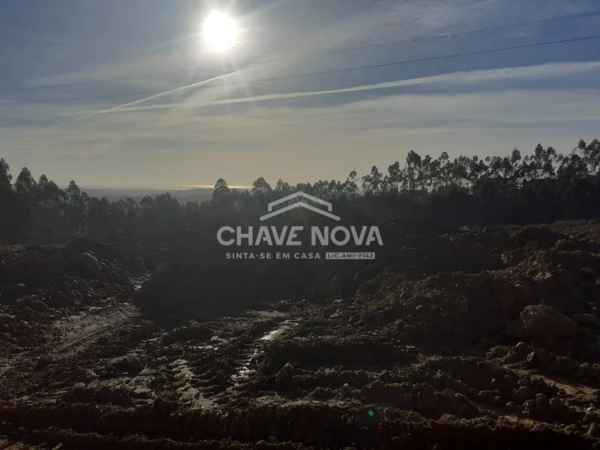 Terreno para Venda em Santa Maria da Feira, Travanca, Sanfins e Espargo Foto 10