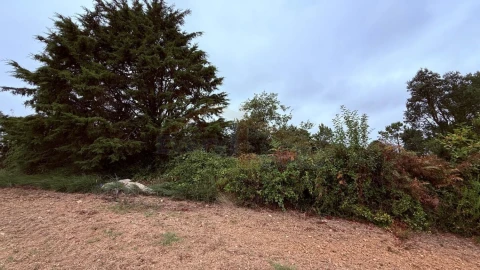 Terreno para Venda em Usseira