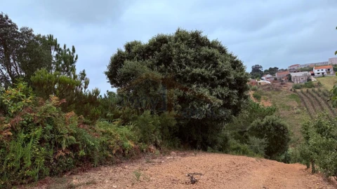 Terreno para Venda em Usseira