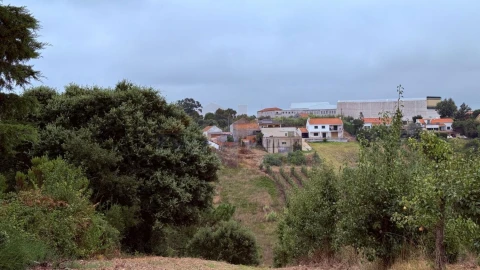 Terreno para Venda em Usseira
