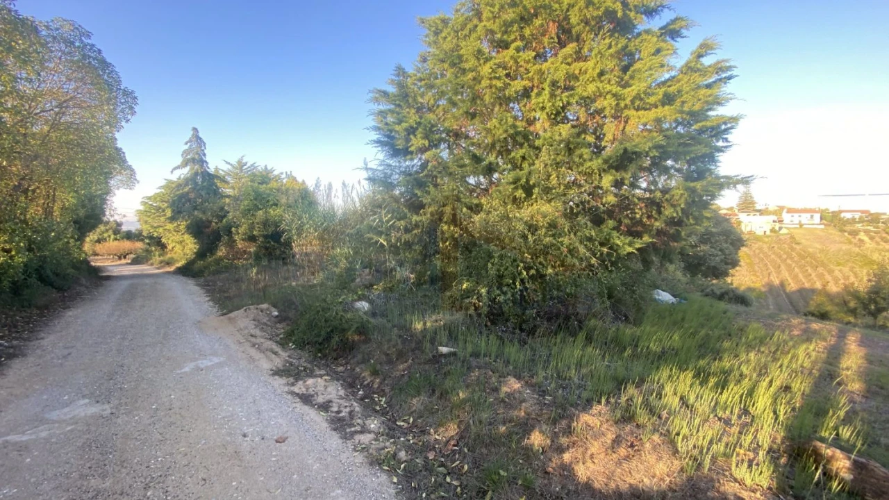 Terreno para Venda em Usseira Foto 7