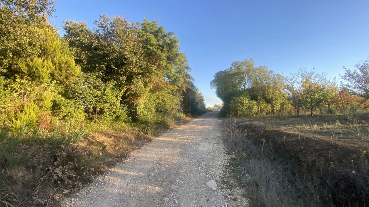 Terreno para Venda em Usseira Foto 24