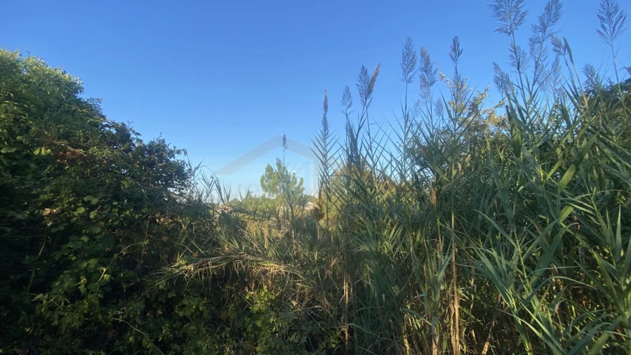 Terreno para Venda em Usseira Foto 8