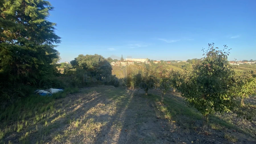 Terreno para Venda em Usseira Foto 2