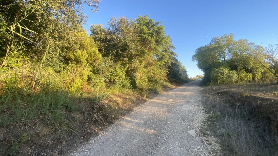 Terreno para Venda em Usseira Foto 23