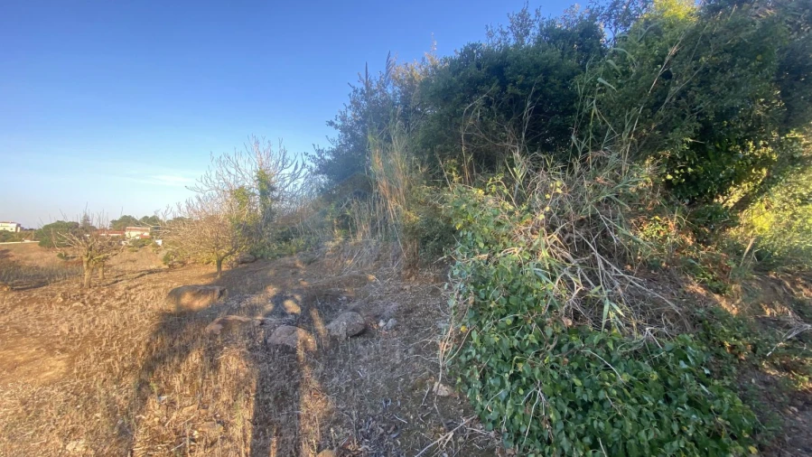 Terreno para Venda em Usseira Foto 15