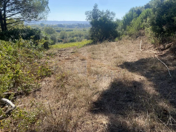 Terreno para Venda em Usseira Foto 4