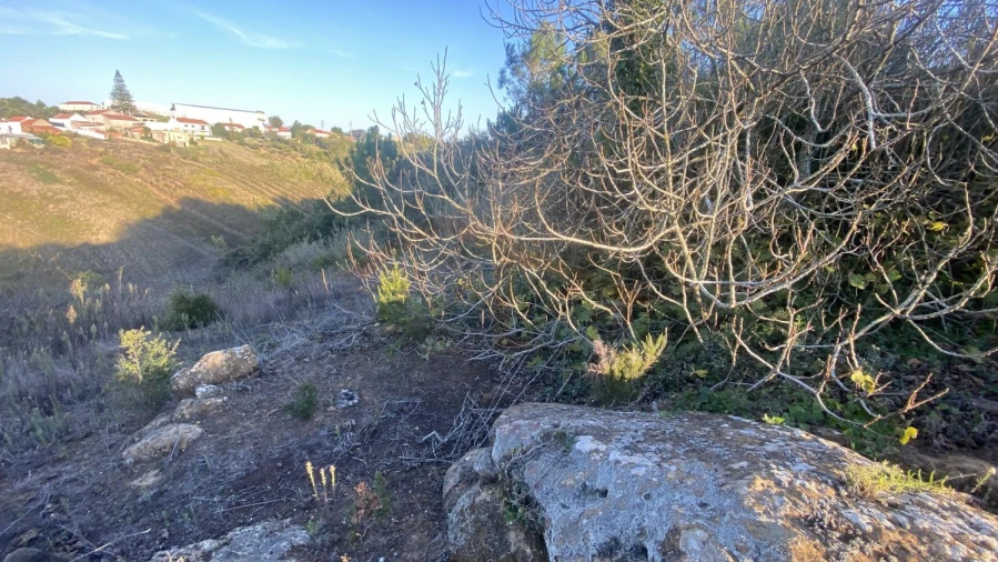 Terreno para Venda em Usseira Foto 21