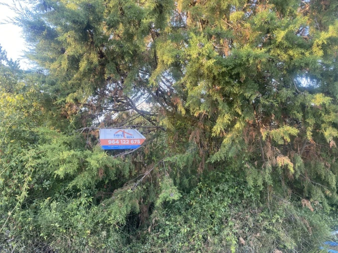 Terreno para Venda em Usseira Foto 25