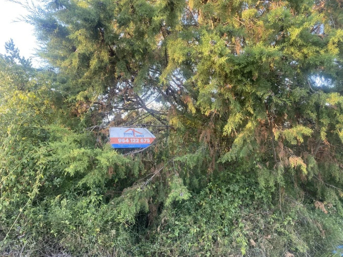 Terreno para Venda em Usseira