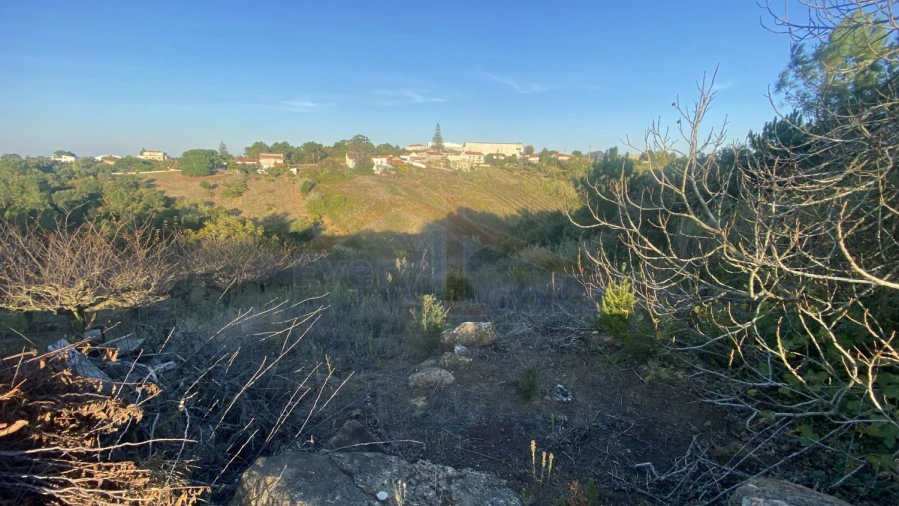 Terreno para Venda em Usseira Foto 22