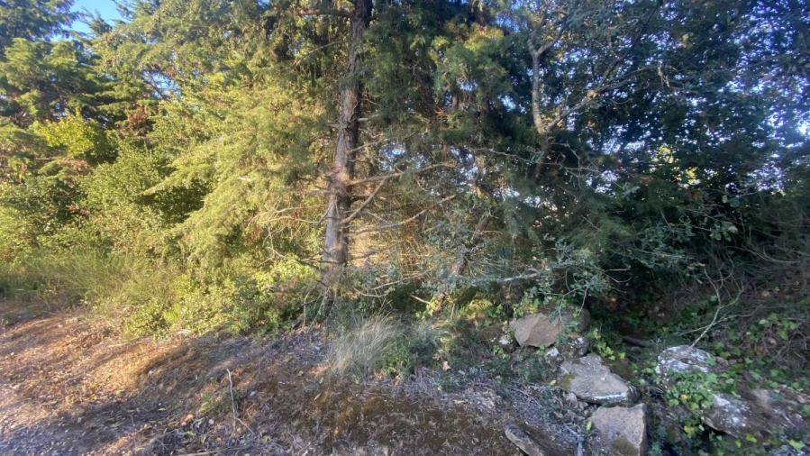 Terreno para Venda em Usseira Foto 10