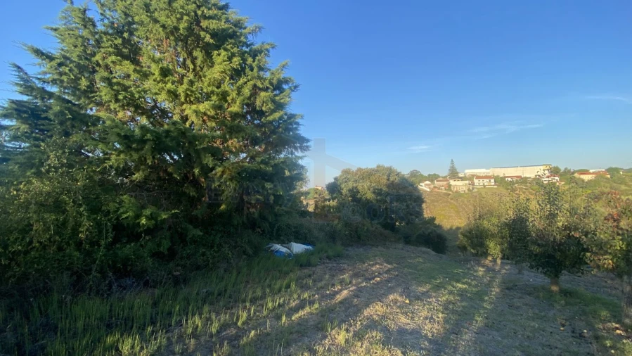 Terreno para Venda em Usseira Foto 3