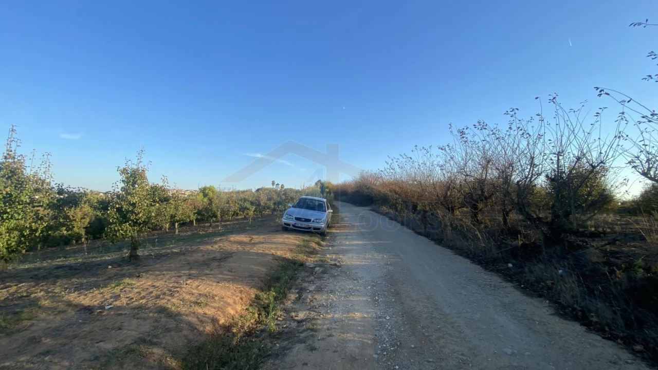 Terreno para Venda em Usseira Foto 6