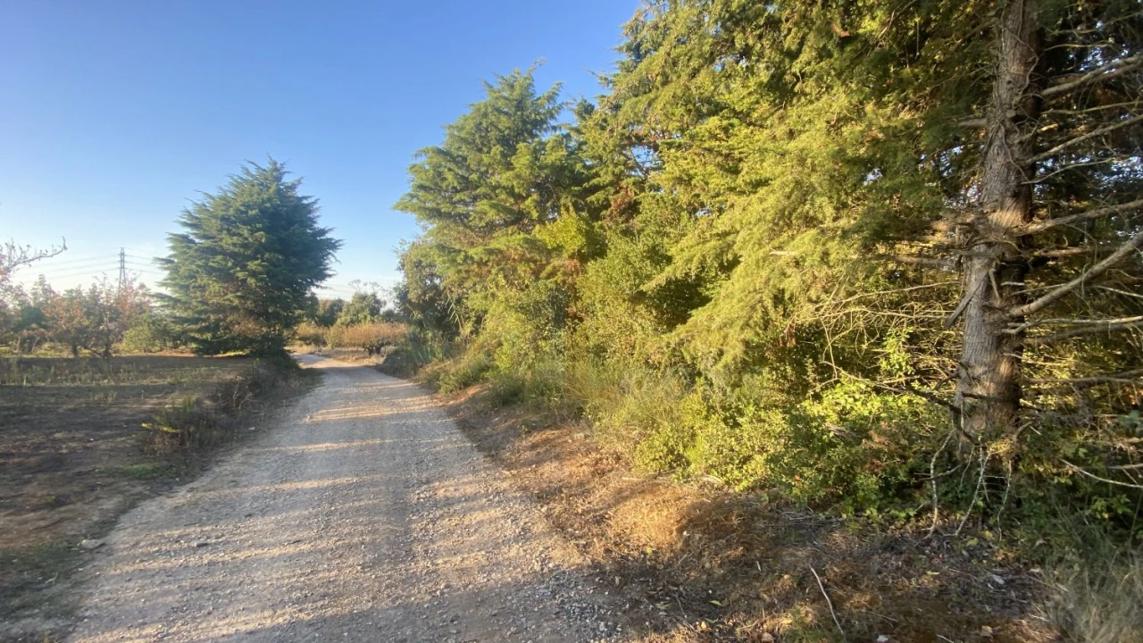 Terreno para Venda em Usseira Foto 14