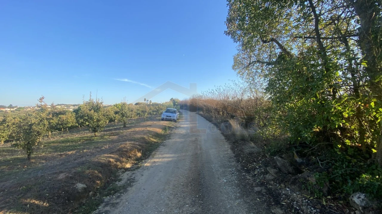 Terreno para Venda em Usseira Foto 12