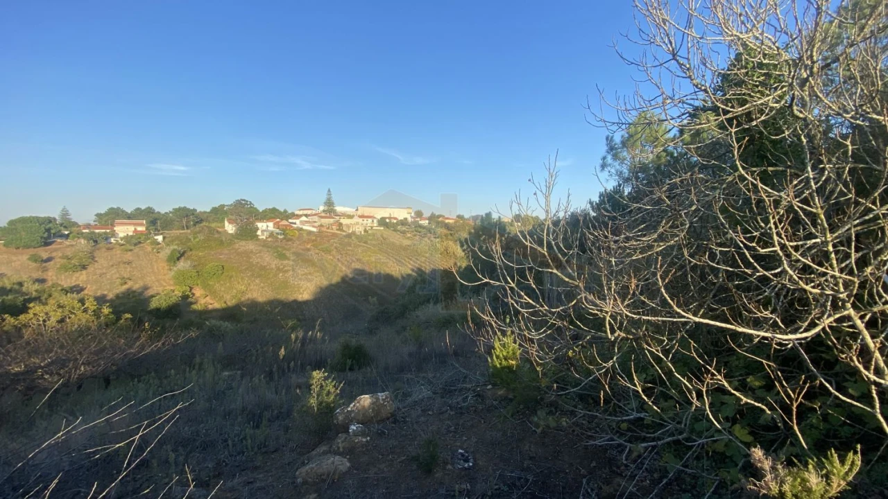 Terreno para Venda em Usseira Foto 18