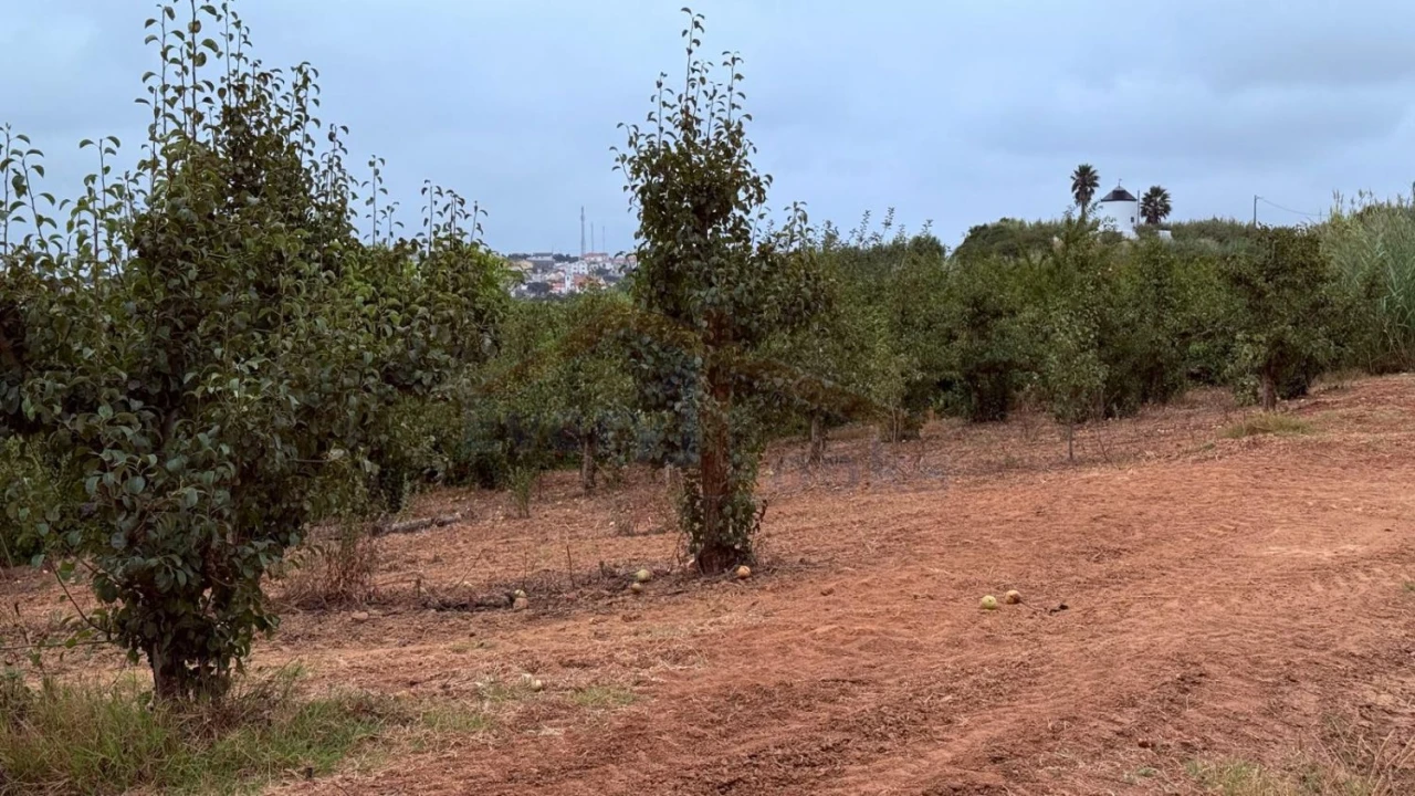 Terreno para Venda em Usseira Foto 27
