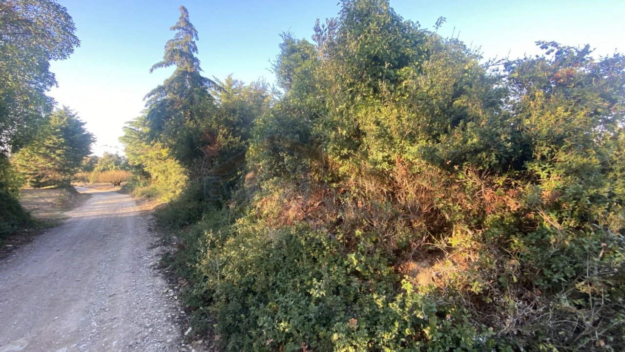 Terreno para Venda em Usseira Foto 9