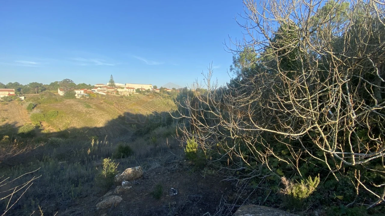 Terreno para Venda em Usseira Foto 17
