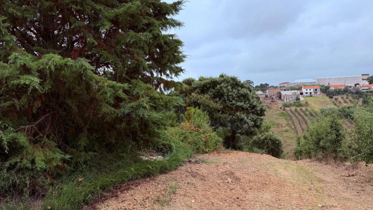 Terreno para Venda em Usseira Foto 28