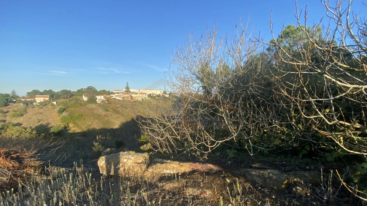 Terreno para Venda em Usseira Foto 16