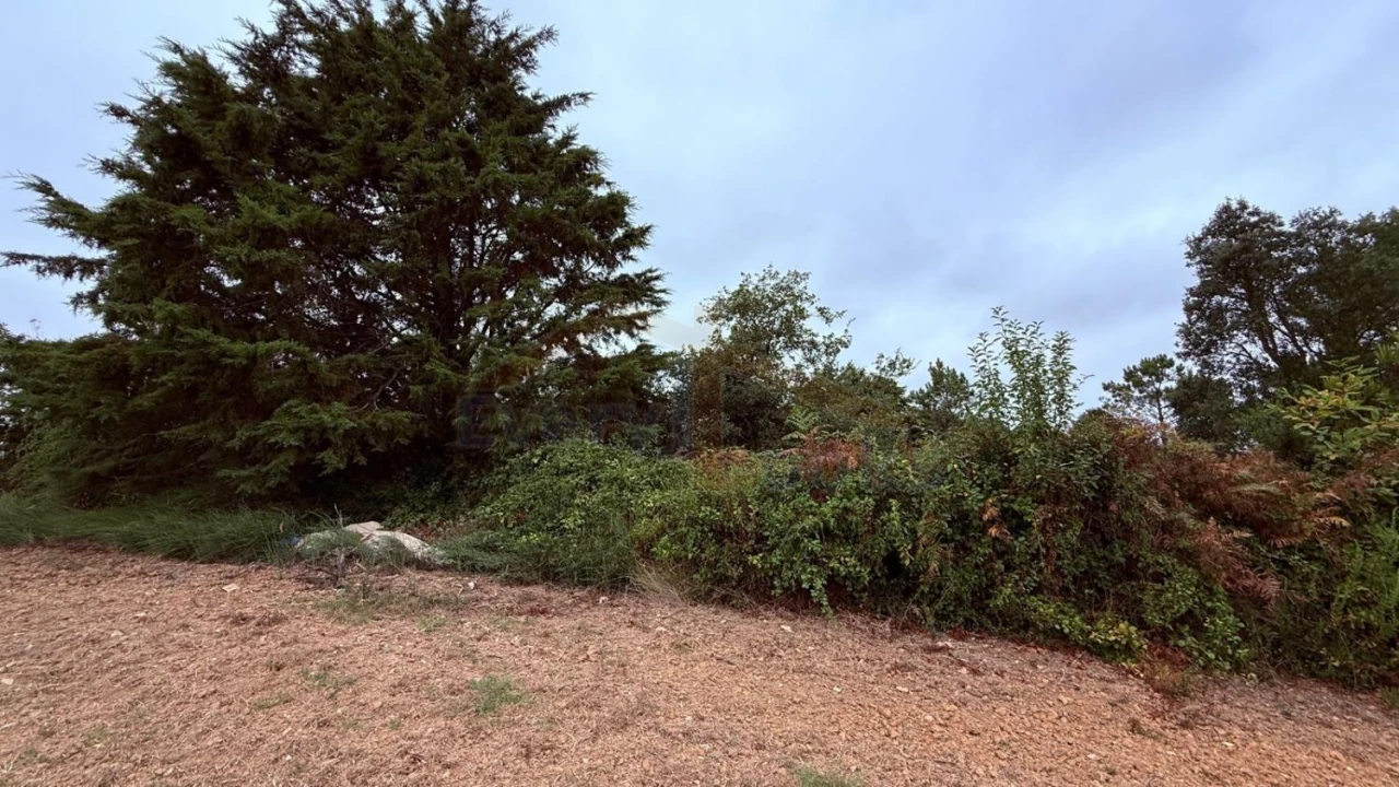 Terreno para Venda em Usseira Foto 30