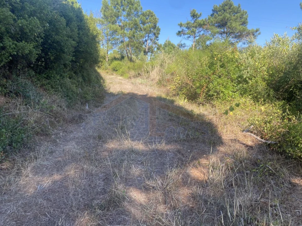 Terreno para Venda em Usseira Foto 5