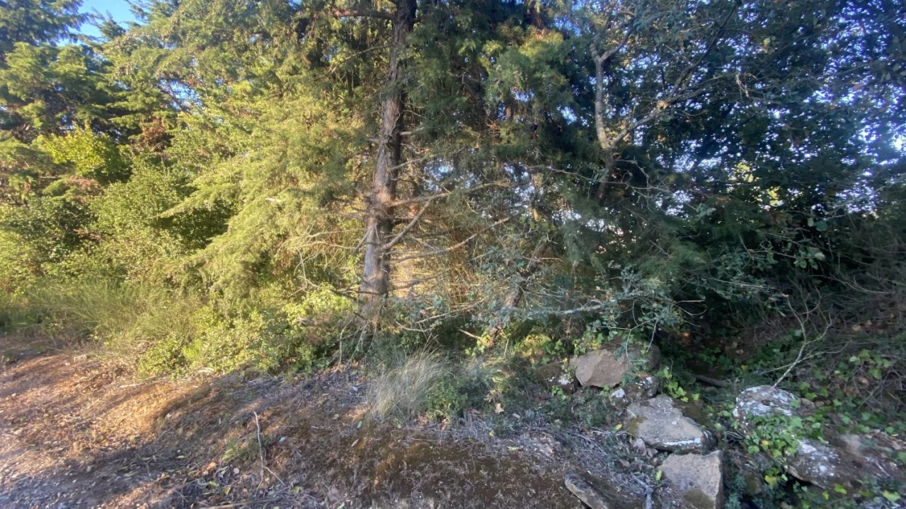 Terreno para Venda em Usseira Foto 10