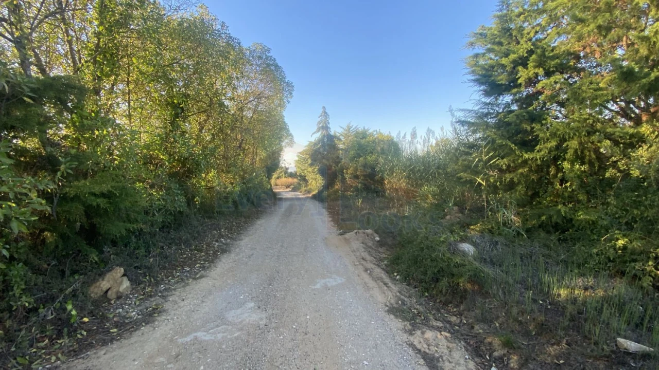 Terreno para Venda em Usseira Foto 13