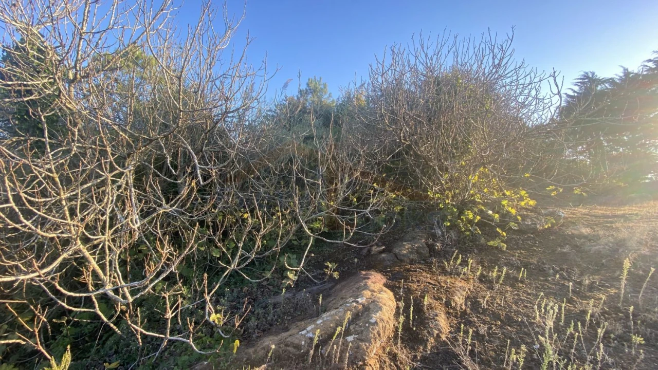 Terreno para Venda em Usseira Foto 20