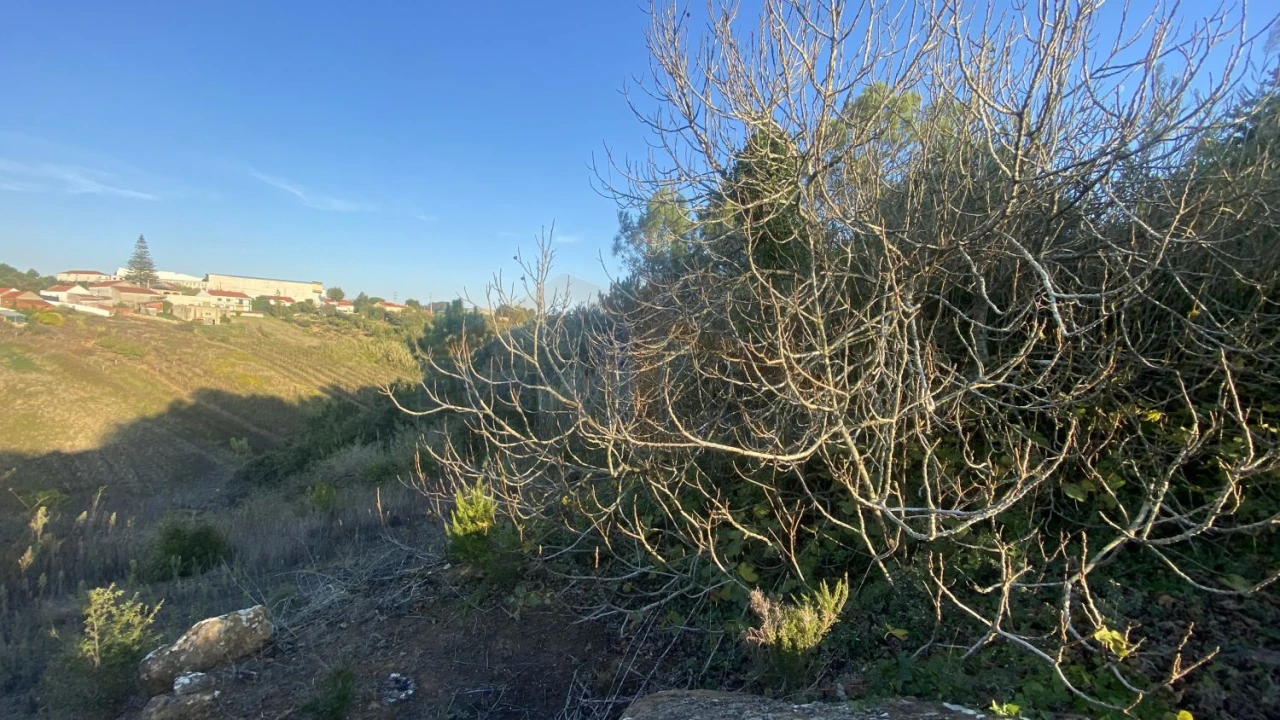 Terreno para Venda em Usseira Foto 19