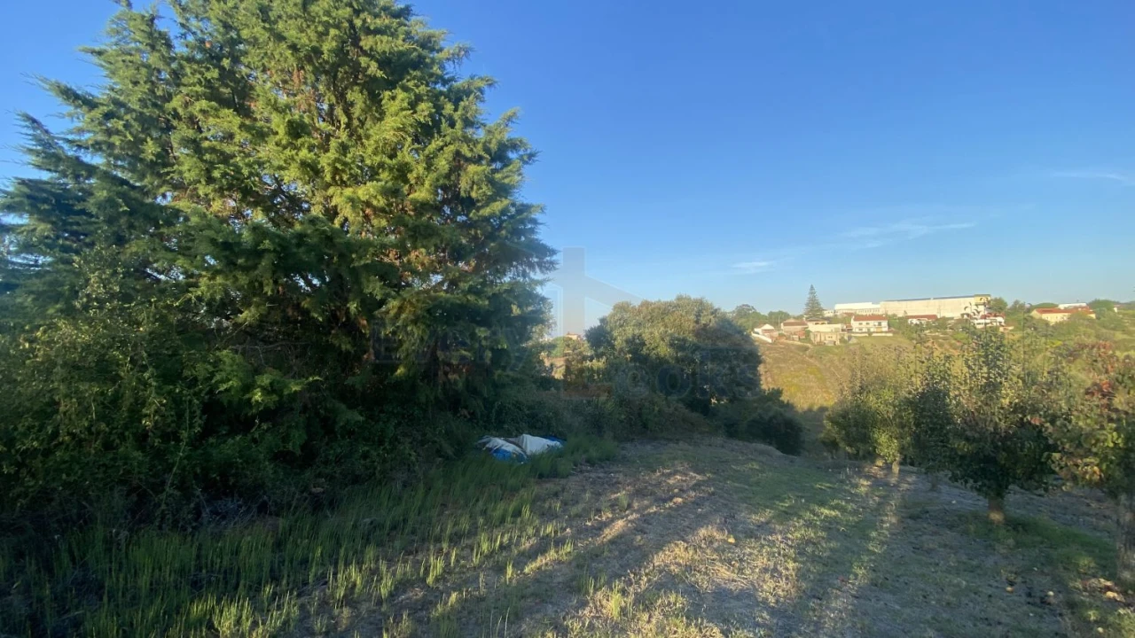 Terreno para Venda em Usseira Foto 3