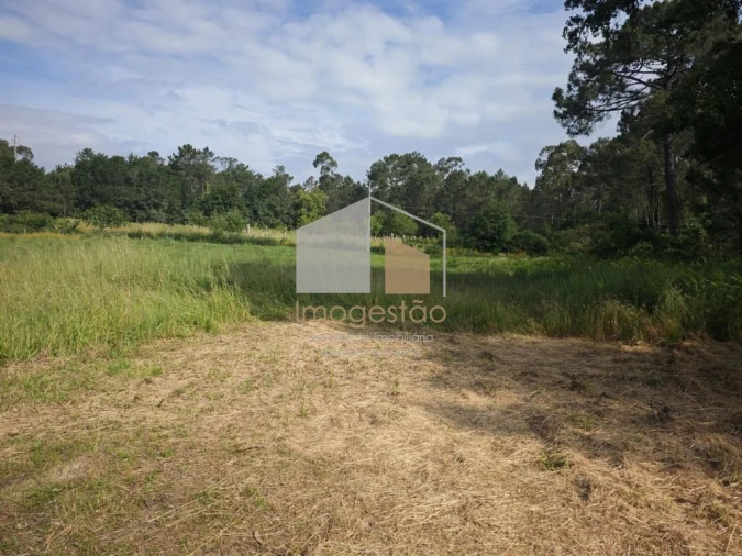 Terreno para Venda em Campos e Vila Meã