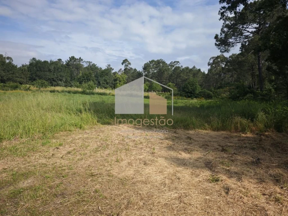 Terreno para Venda em Campos e Vila Meã Foto 1