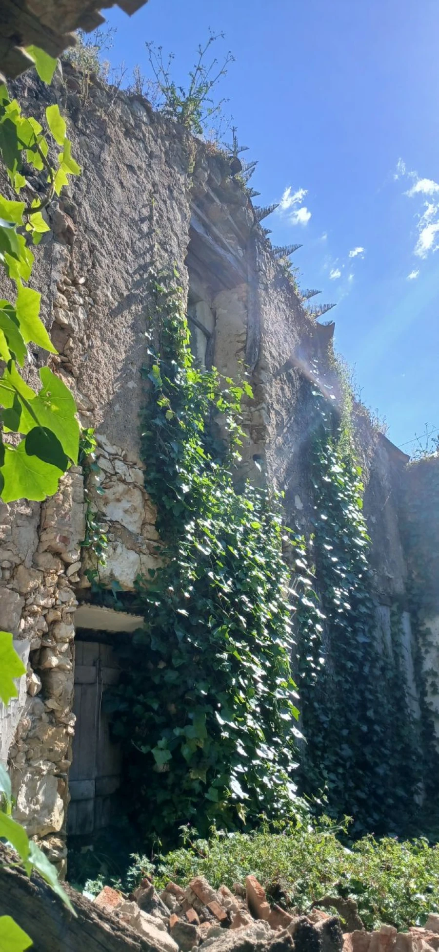 Moradia T4 para Venda em Olaia e Paço Foto 5