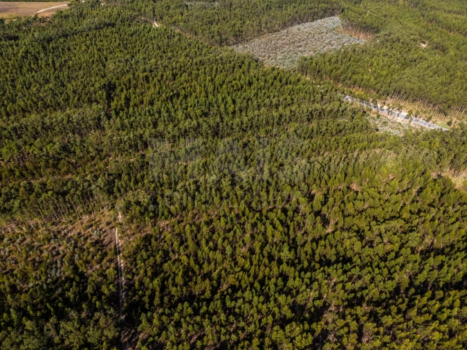 Terreno para Venda em Serra D'El-Rei Foto 7