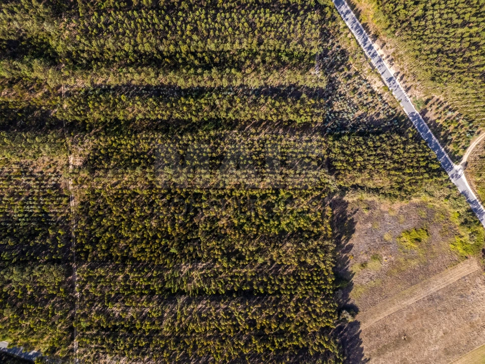 Terreno para Venda em Serra D'El-Rei Foto 6
