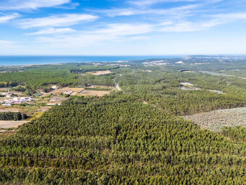 Terreno para Venda em Serra D'El-Rei Foto 8