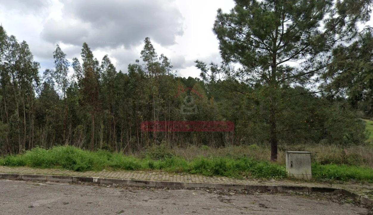 Terreno para Venda em Abrantes (São Vicente e São João) e Alferrarede Foto 2