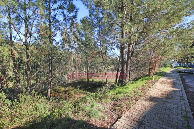Terreno para Venda em Abrantes (São Vicente e São João) e Alferrarede Foto 10
