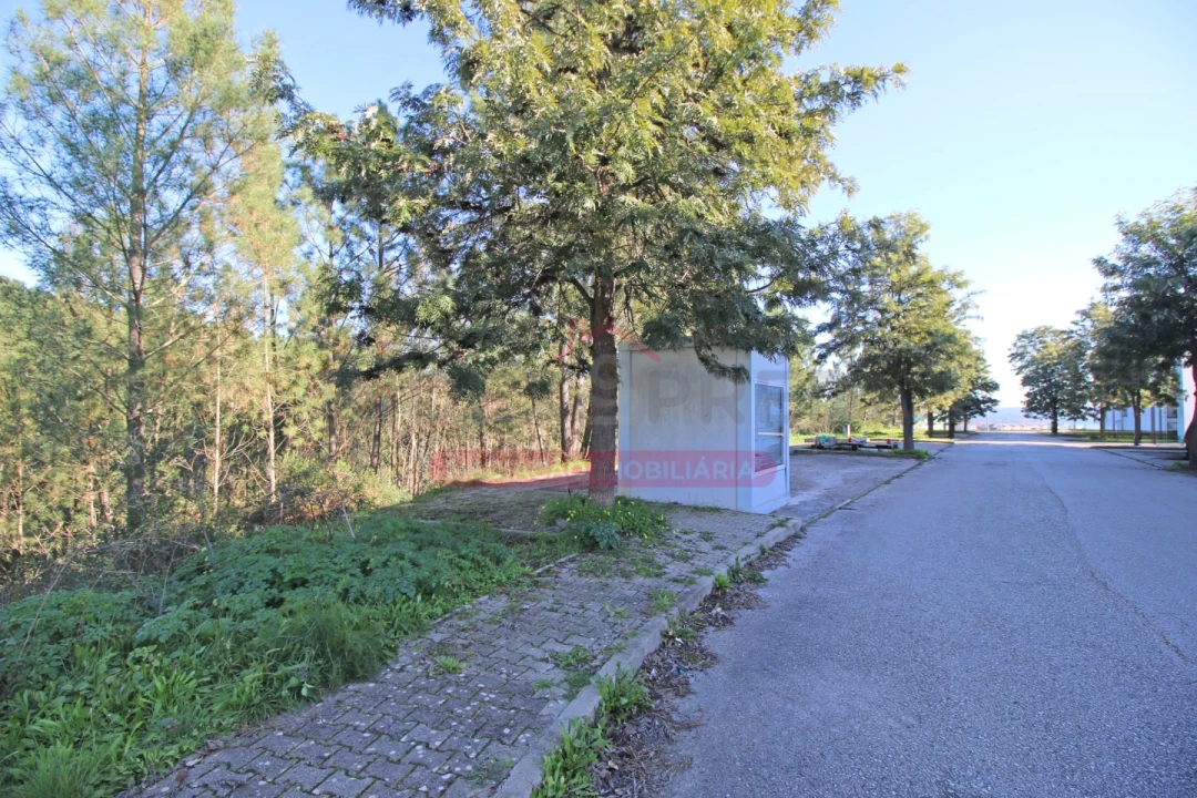 Terreno para Venda em Abrantes (São Vicente e São João) e Alferrarede Foto 9