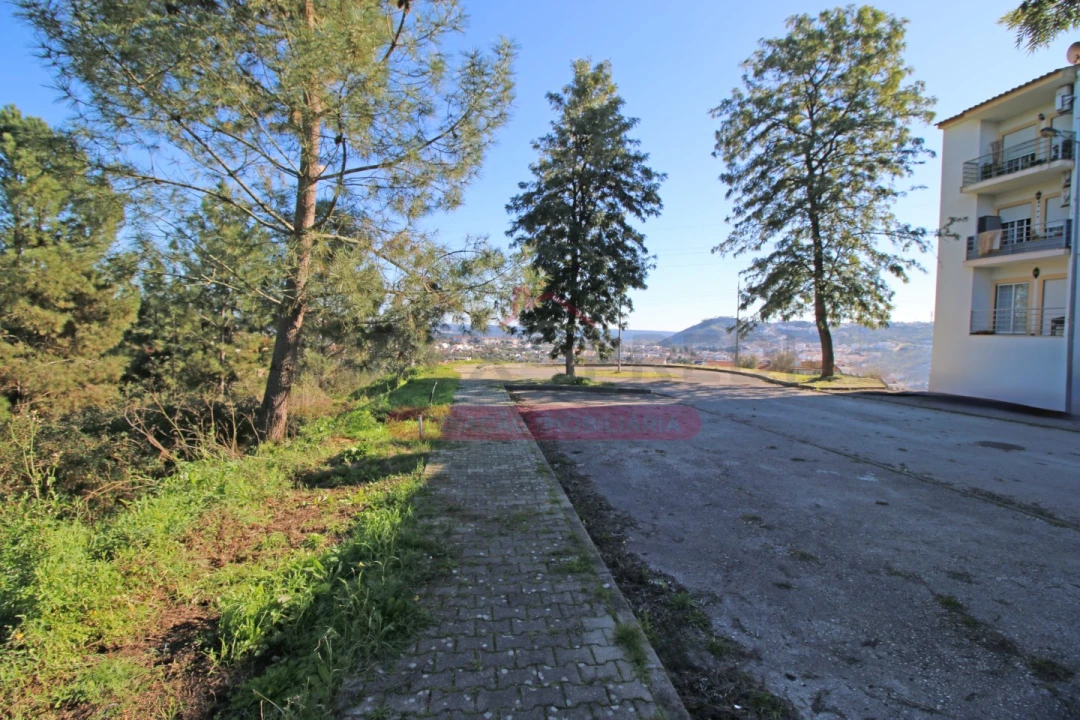 Terreno para Venda em Abrantes (São Vicente e São João) e Alferrarede Foto 16