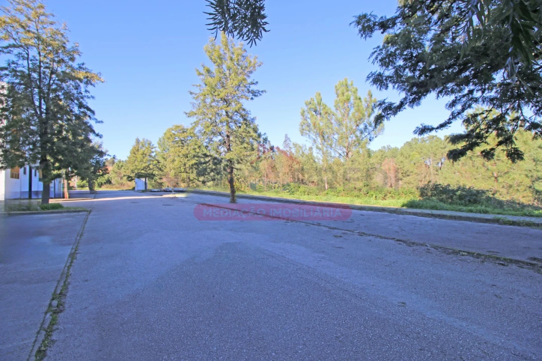 Terreno para Venda em Abrantes (São Vicente e São João) e Alferrarede Foto 17