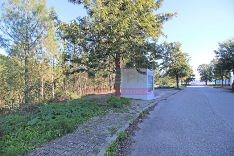 Terreno para Venda em Abrantes (São Vicente e São João) e Alferrarede Foto 9