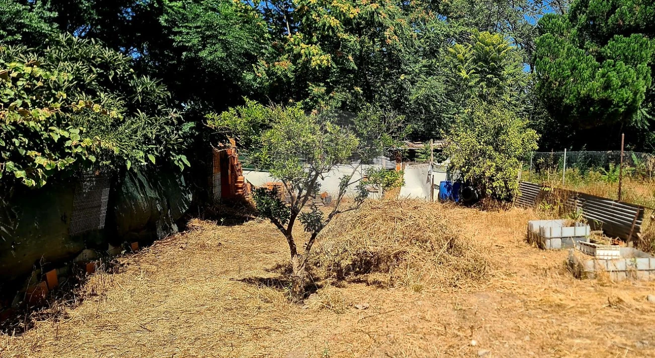 Terreno para Venda em Almeirim Foto 1