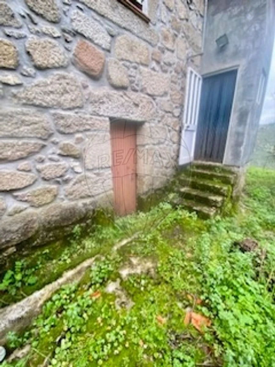 Moradia T3 para Venda em Girabolhos Foto 4